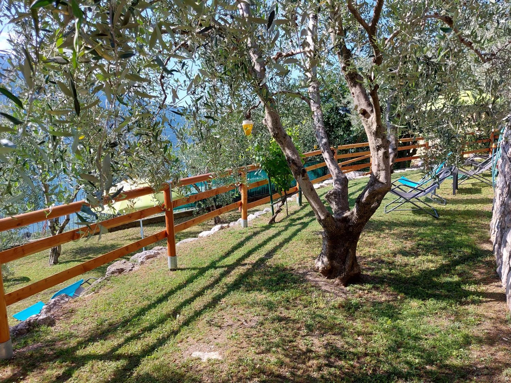 Ulivi Sul Garda Garden By Gardadomusmea Lejlighed Tremosine Eksteriør billede