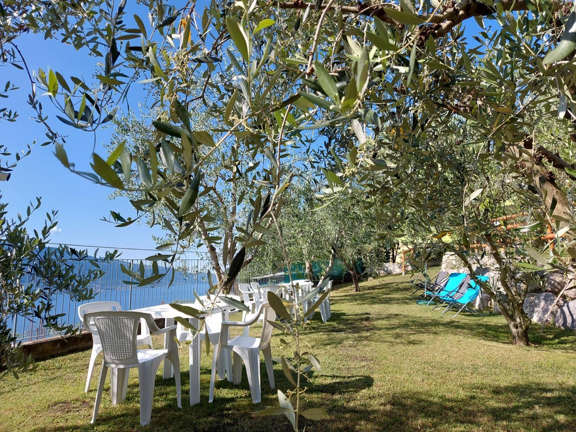 Ulivi Sul Garda Garden By Gardadomusmea Lejlighed Tremosine Eksteriør billede