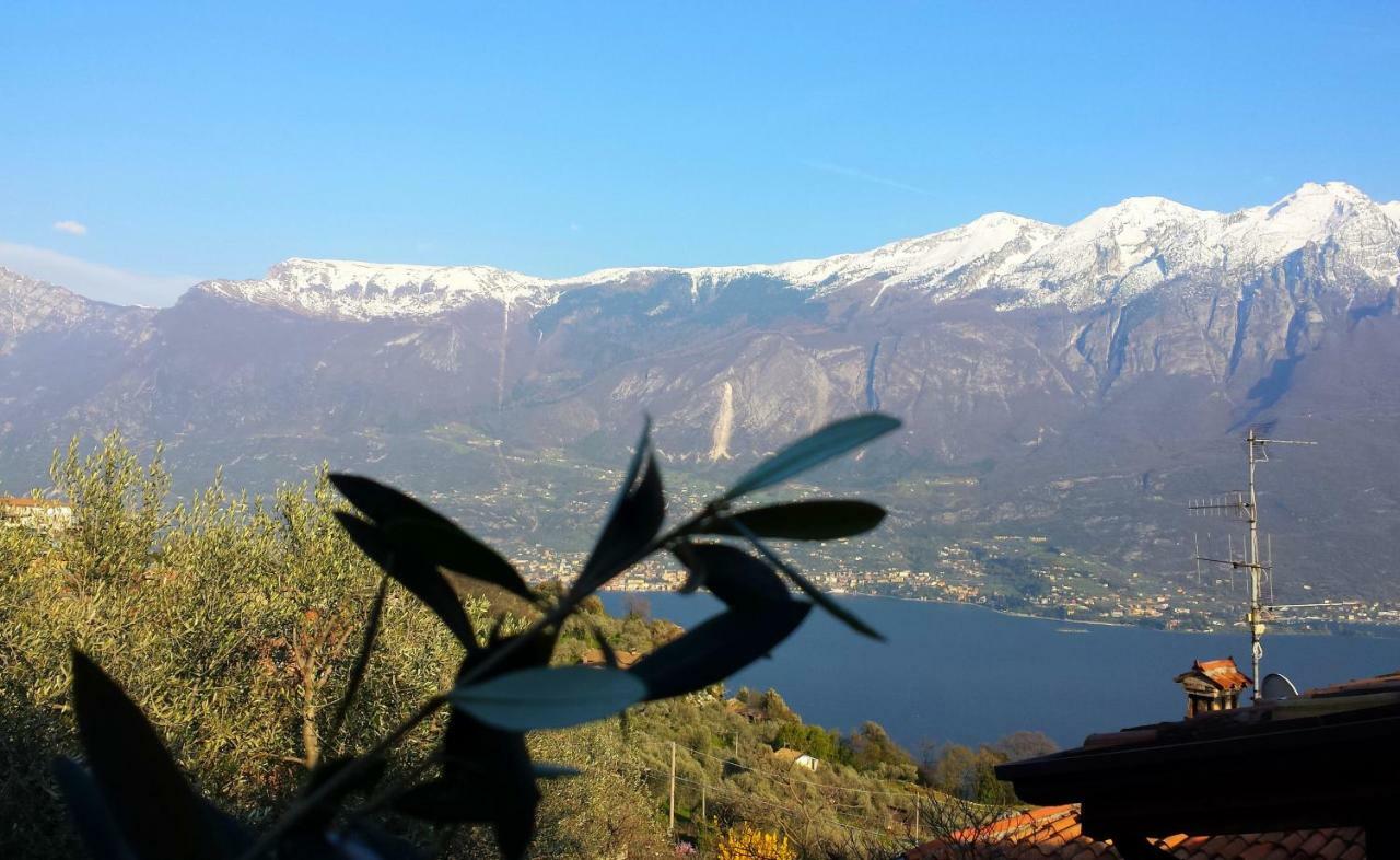 Ulivi Sul Garda Garden By Gardadomusmea Lejlighed Tremosine Eksteriør billede