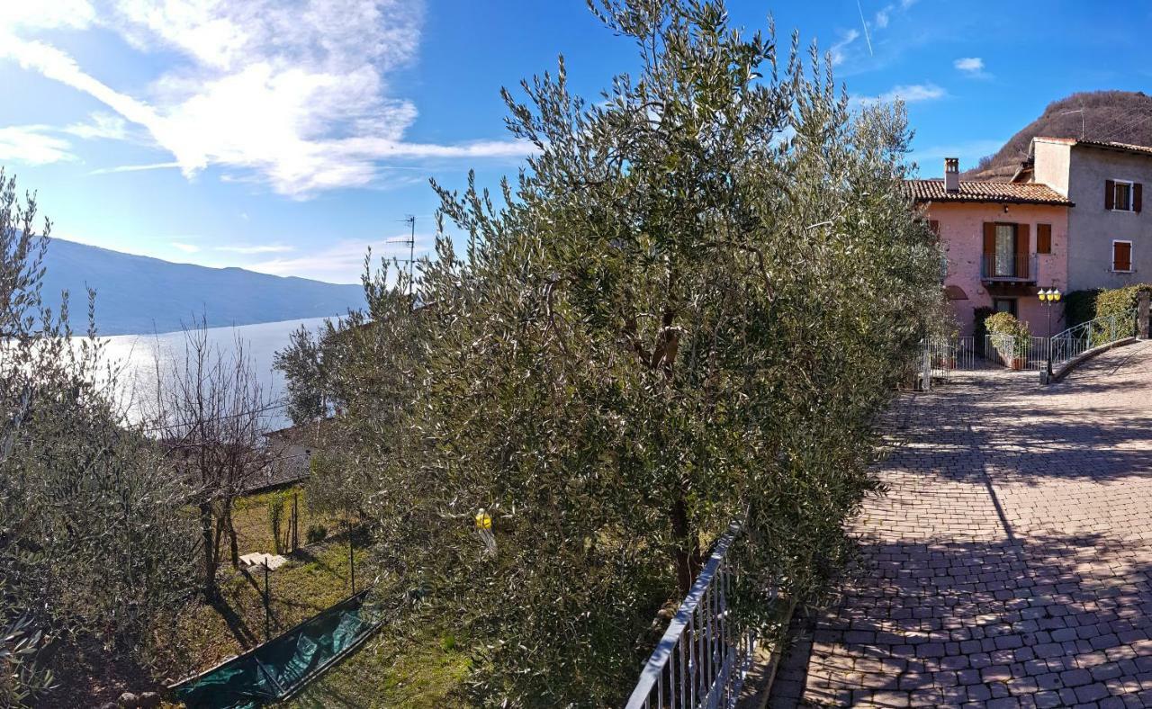 Ulivi Sul Garda Garden By Gardadomusmea Lejlighed Tremosine Eksteriør billede