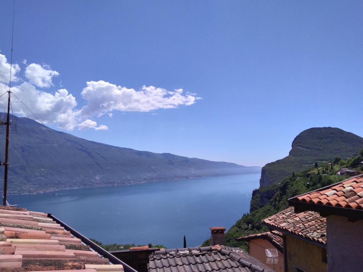 Ulivi Sul Garda Garden By Gardadomusmea Lejlighed Tremosine Eksteriør billede